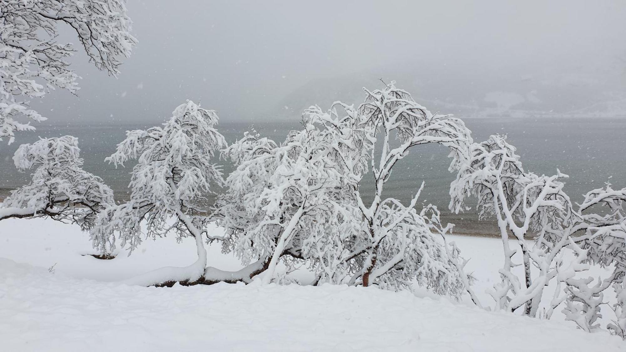 Tromtind Lodge Τρόμσο Εξωτερικό φωτογραφία