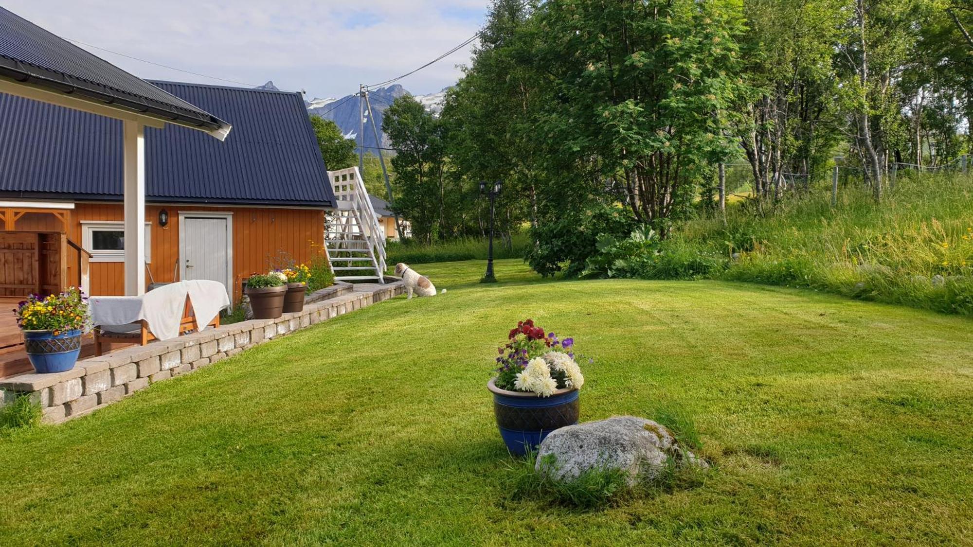 Tromtind Lodge Τρόμσο Εξωτερικό φωτογραφία
